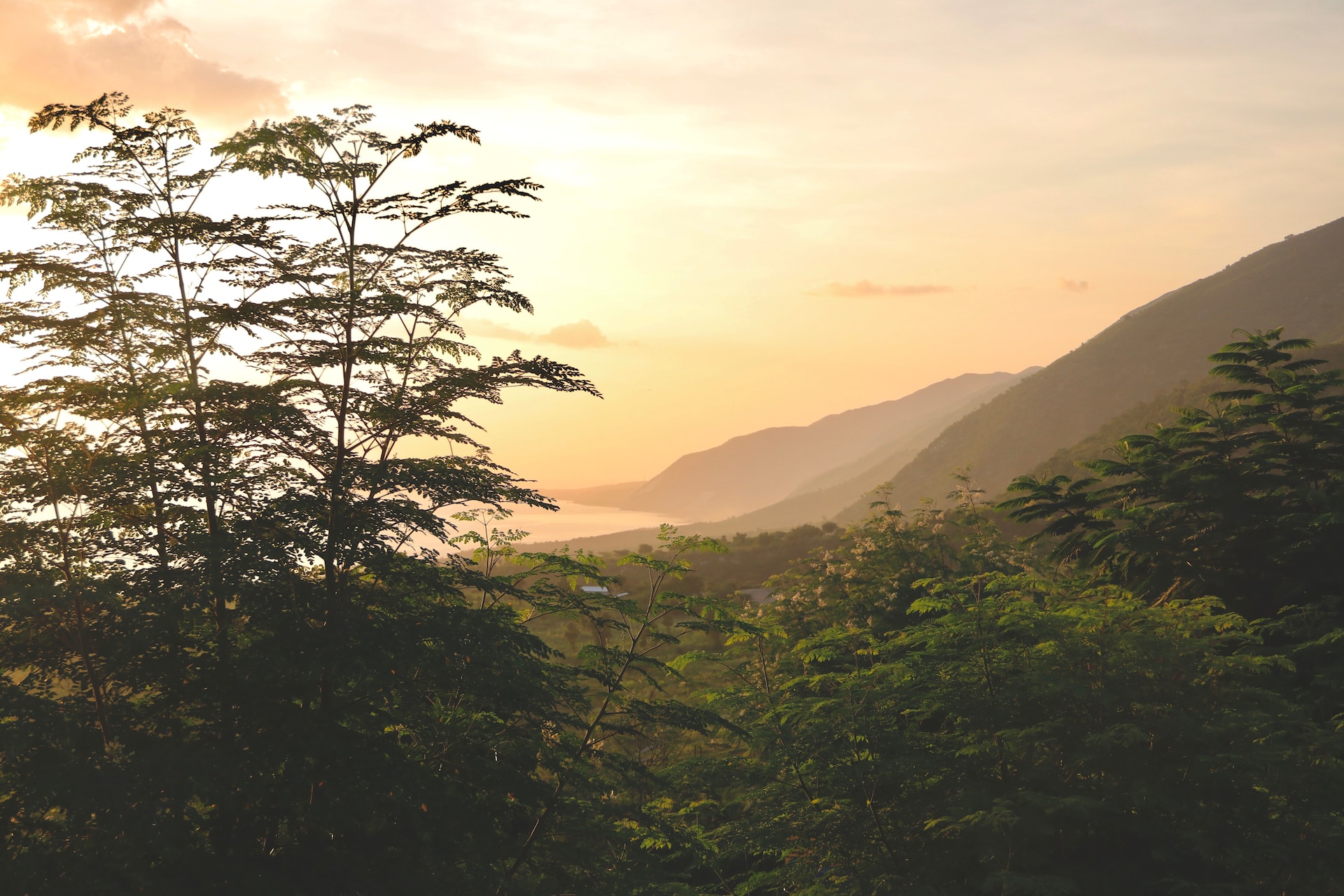 Un paysage Haïtien